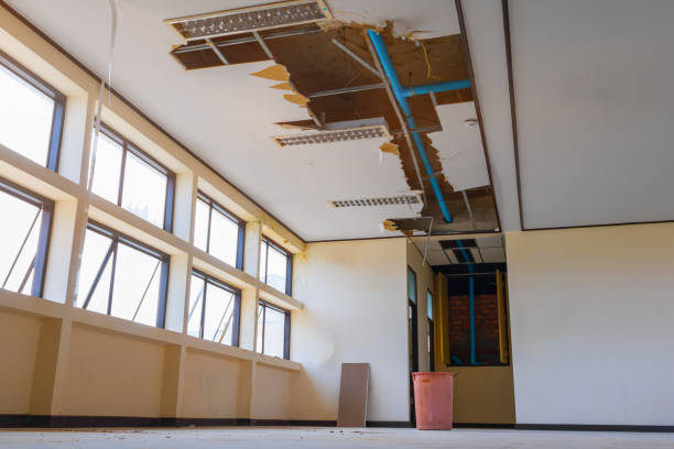 Best Local water damage restoration  in West Carrollton, OH