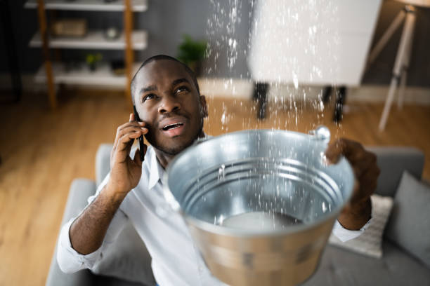 Best Water damage restoration near me  in West Carrollton, OH
