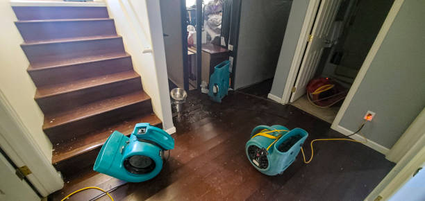 Best Flood damage cleanup  in West Carrollton, OH