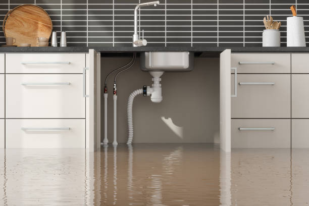  West Carrollton, OH Water damage restoration Pros